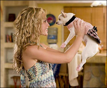 beverly hills chihuahua