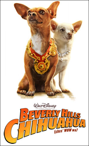 beverly hills chihuahua wp