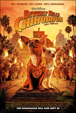 beverly hills chihuahuas