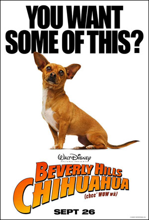 beverlyhills chihuahua