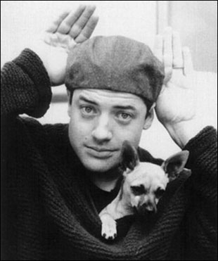 brendanfraser chihuahua