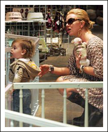 britney spears chihuahua