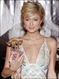 parishilton tinkerbell