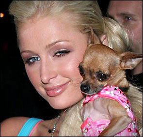 parishilton tinkerbell