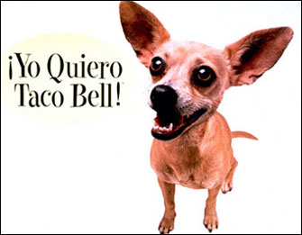 taco bell chihuahua