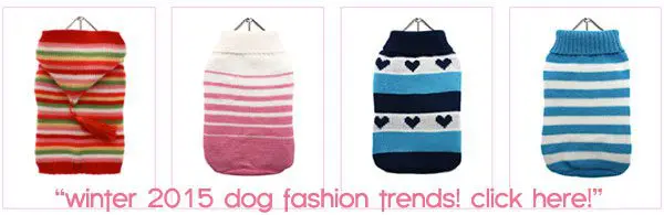 2015 dog fashion