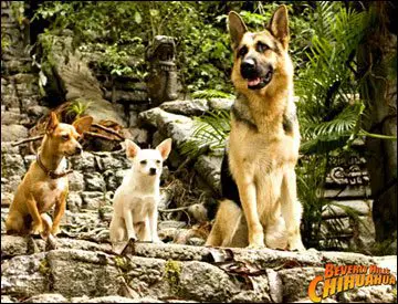 beverly hills chihuahua2