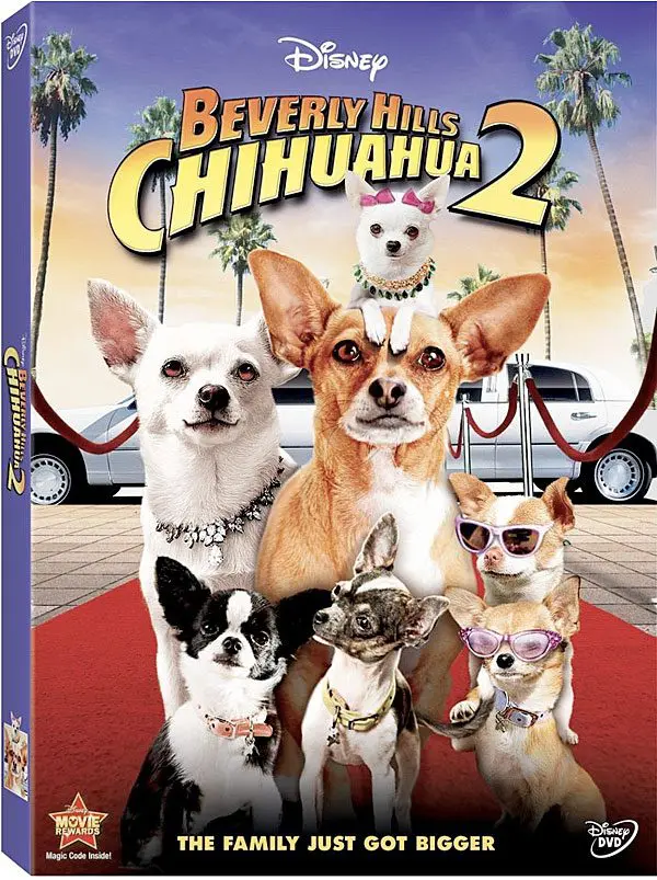 beverlyhills chihuahua2