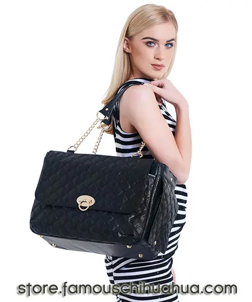 coco chihuahua dog carrier