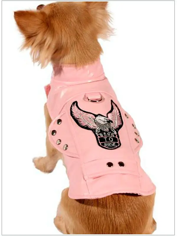 borntoride dog leather jacket