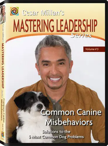 cesarmillan mastering ledership