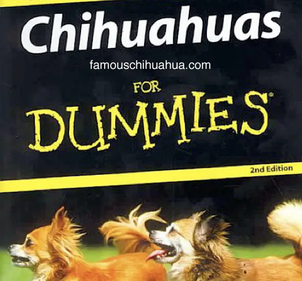chihuahuas dummies