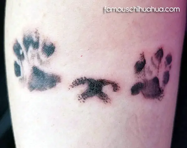 chiquita paw tatoos