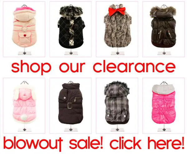 shop our blowout sale on chihuahua clothes! click here! clearance sale chihuahua clothes