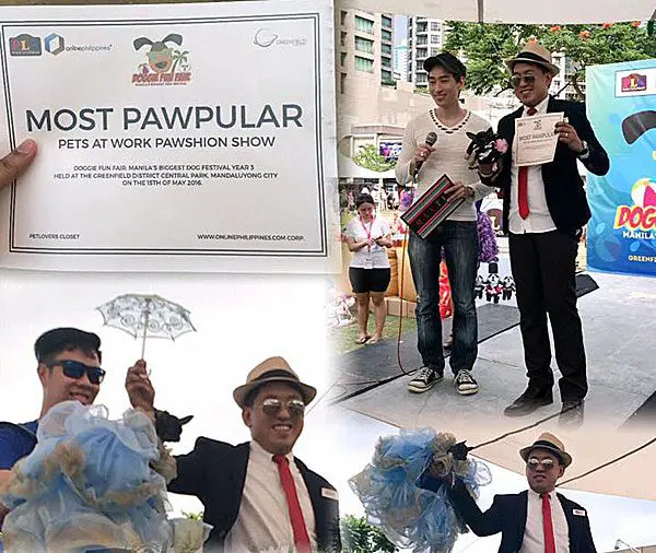 coco chanel fashionista