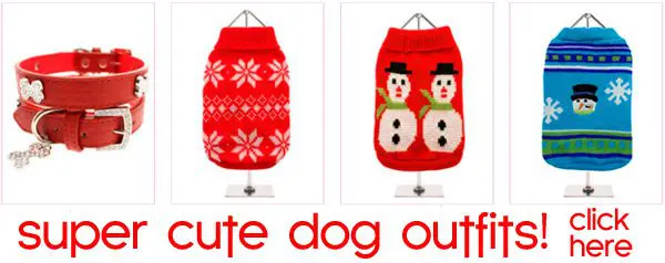 cute dogchristmas clothes