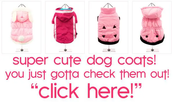 super cute dog coats! click here to check them out! fall winter dog coats