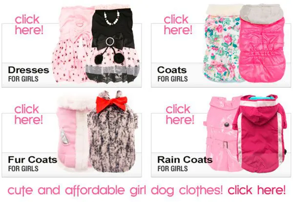 cute girldogcothes