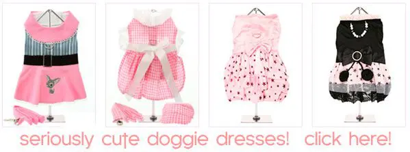 cutedog dresses