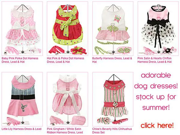 dog dresses summer