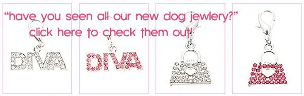 dog jewlery
