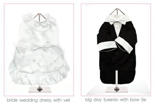 dog wedding attire
