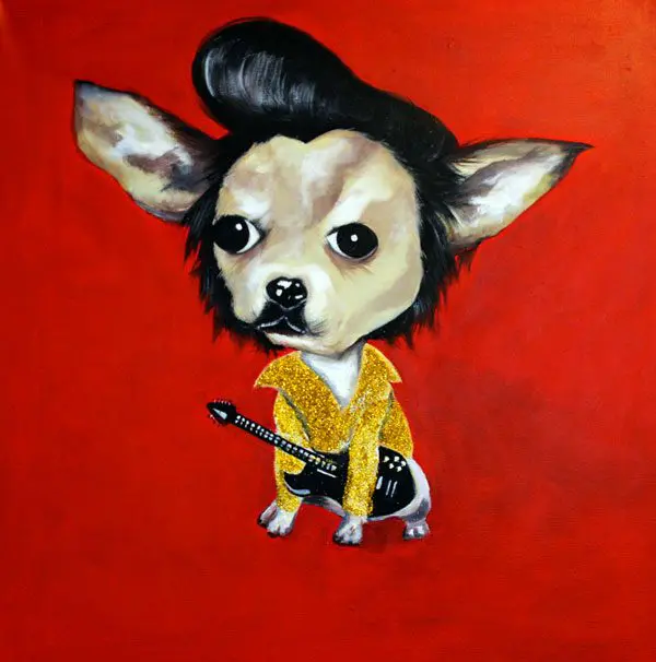 elvis presley chihuahua portrait