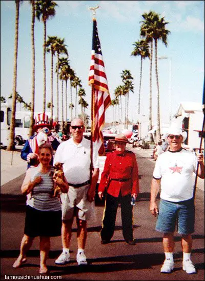 famous chihuahua parade