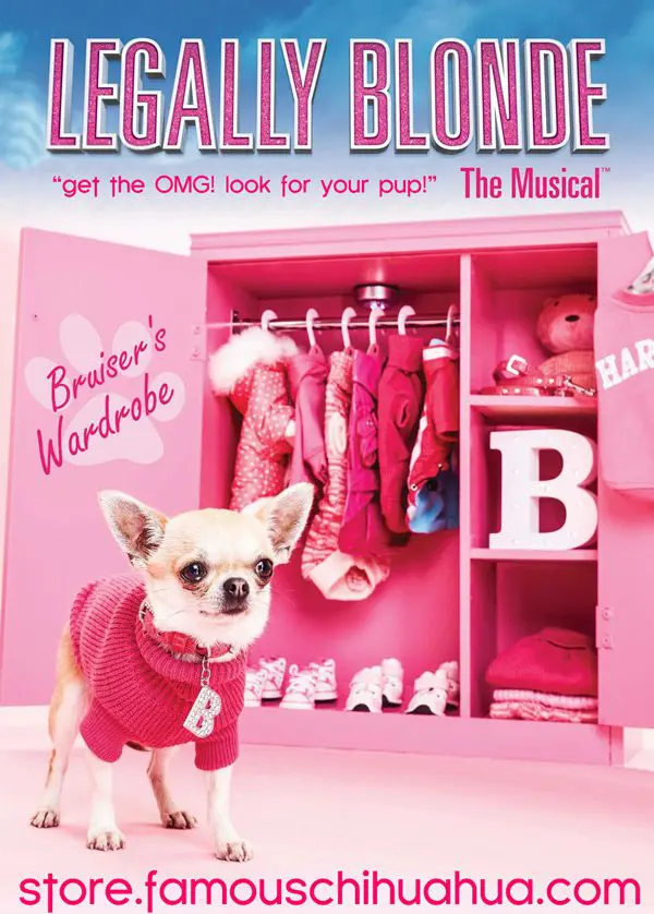 fcstore legally blonde