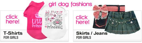 girl dog fashions
