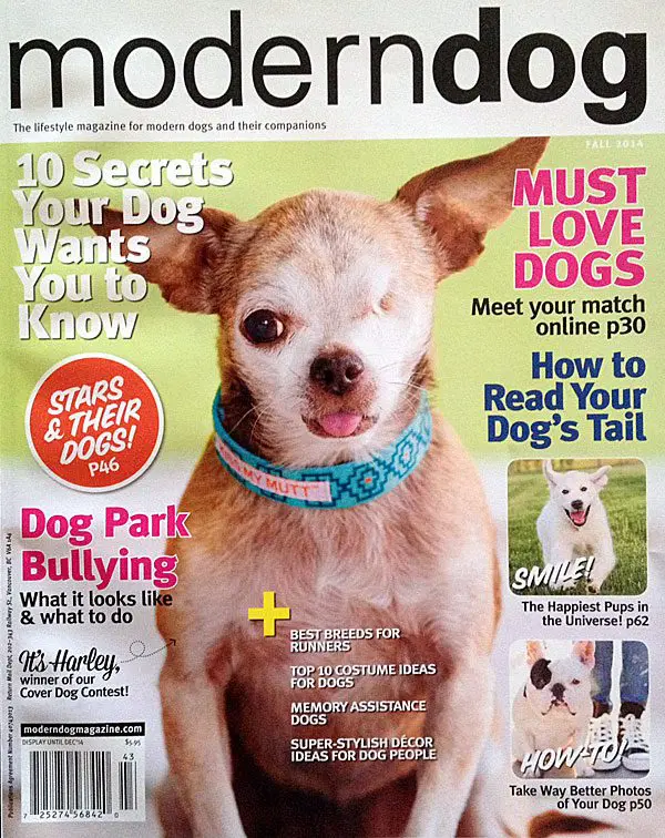 harley moderndog cover