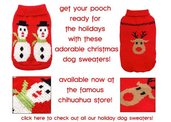 holiday doggy sweaters