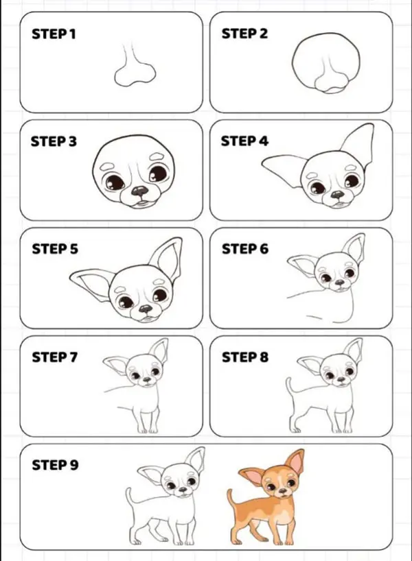 how to draw a chihuahua