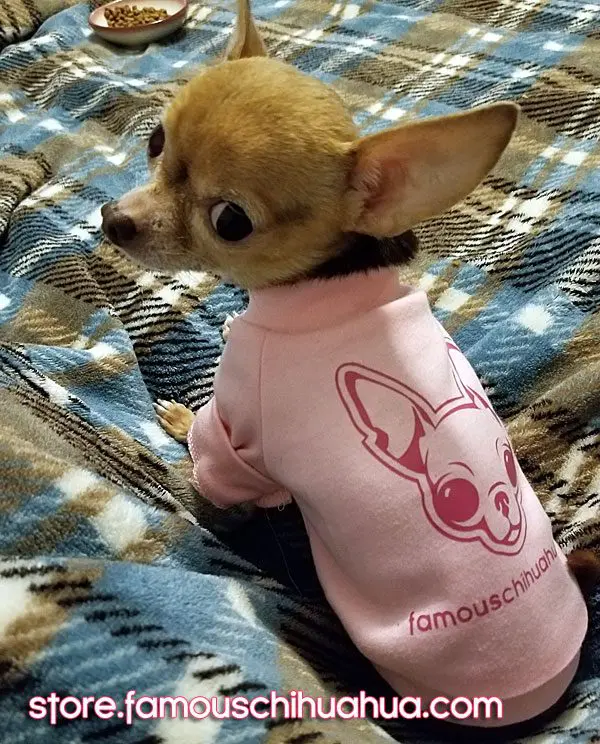 itsy bitsy mae fcshirt