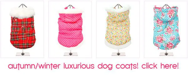 luxurious dog coats