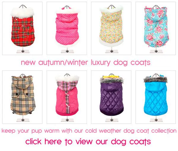 luxury dogcoats