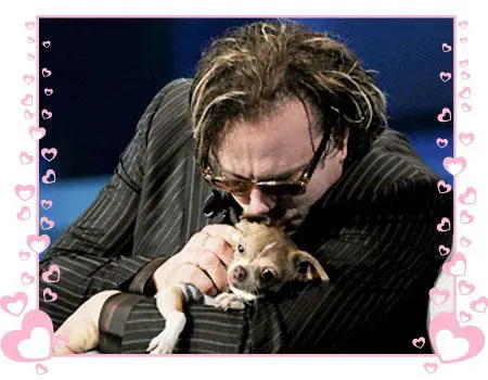 rest in peace sweet loki rest in peace sweet loki