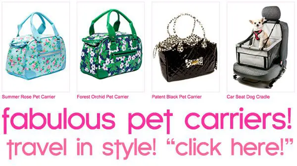 fabulous pet carriers! travel with your chihuahua in style! click here! chihuahua dog carriers