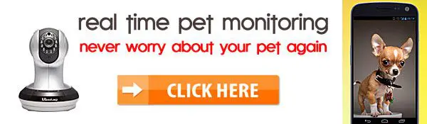 pet monitoring mobilephone