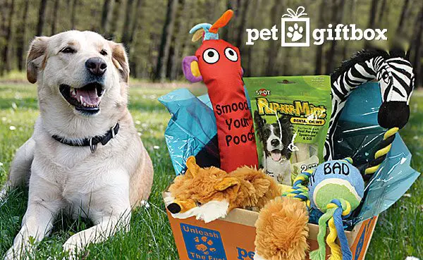 pet gift box
