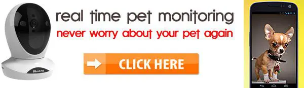 petmonitoring mobilephone