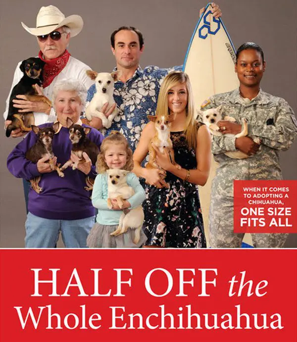 santabarbara wholeenchihuahua