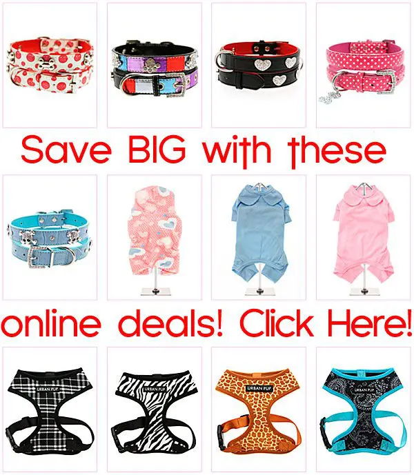 online deals on chihuahua clothes and accessories