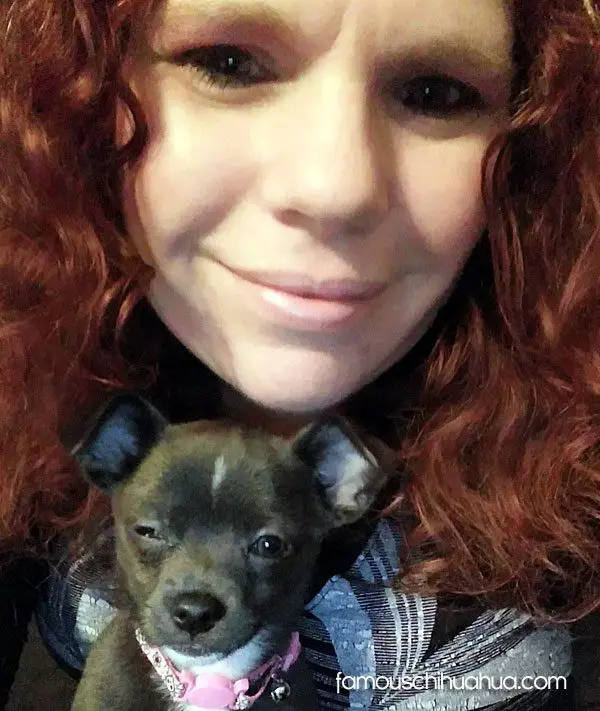 shadow michelle chihuahua selfie