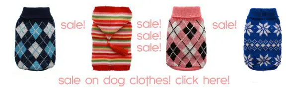 sle doggie clothes