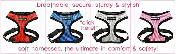 soft comfortable harnesses