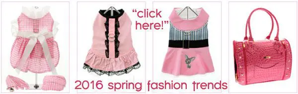 springfashion trends