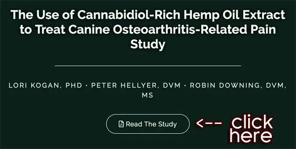 study cbd