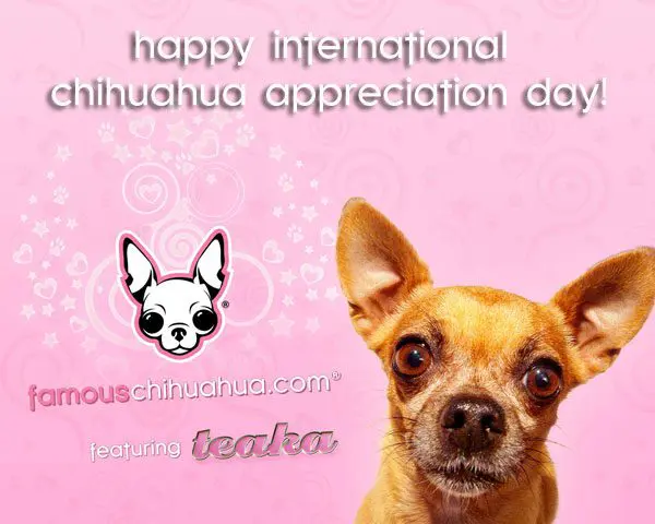 teaka appreciation banner