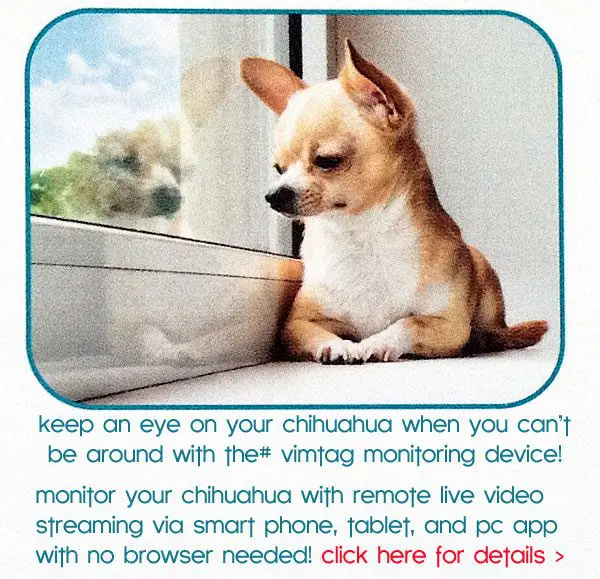 vimtag pet monitor device